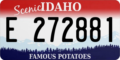 ID license plate E272881