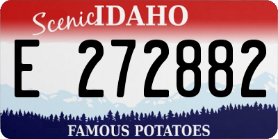 ID license plate E272882
