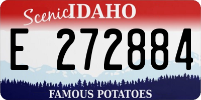 ID license plate E272884