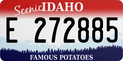 ID license plate E272885