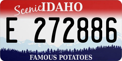 ID license plate E272886