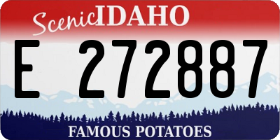 ID license plate E272887