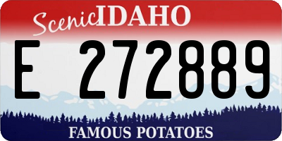 ID license plate E272889