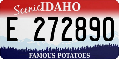 ID license plate E272890