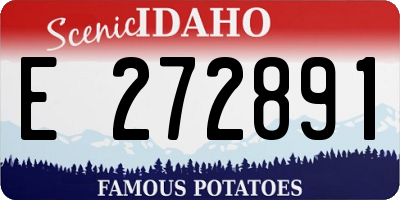ID license plate E272891