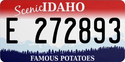 ID license plate E272893