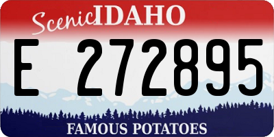 ID license plate E272895