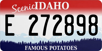 ID license plate E272898