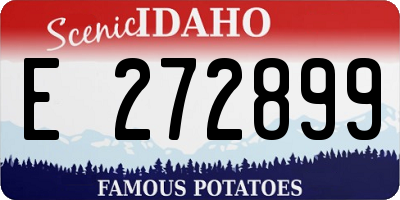 ID license plate E272899