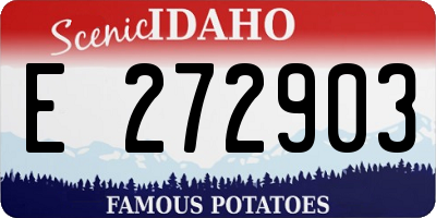 ID license plate E272903