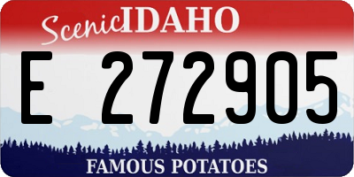 ID license plate E272905