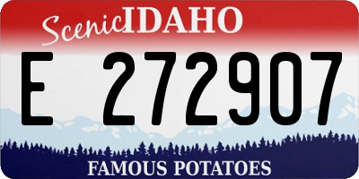 ID license plate E272907