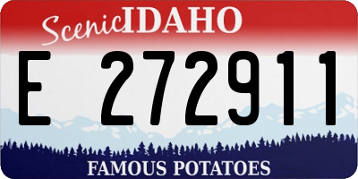 ID license plate E272911