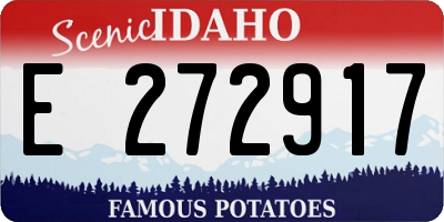 ID license plate E272917