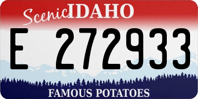 ID license plate E272933