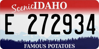 ID license plate E272934