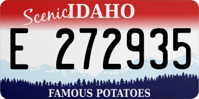 ID license plate E272935