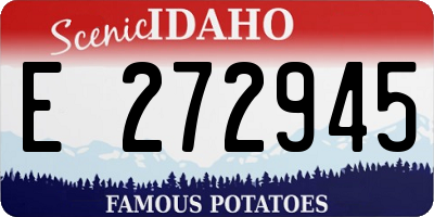 ID license plate E272945