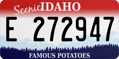 ID license plate E272947