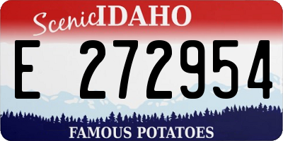 ID license plate E272954