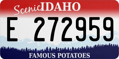 ID license plate E272959