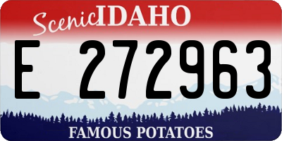 ID license plate E272963