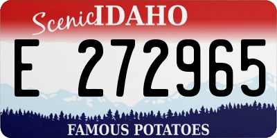 ID license plate E272965