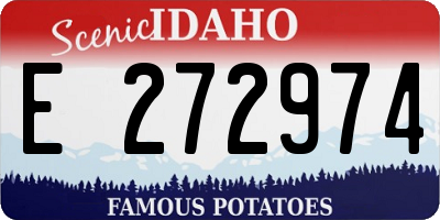 ID license plate E272974