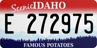 ID license plate E272975