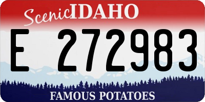ID license plate E272983