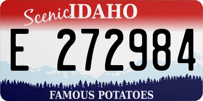 ID license plate E272984