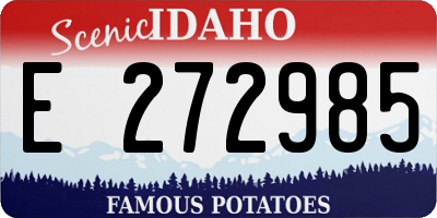 ID license plate E272985