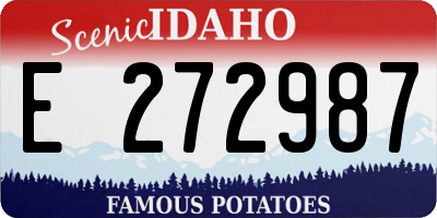 ID license plate E272987