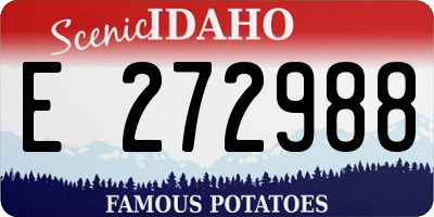 ID license plate E272988