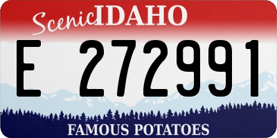 ID license plate E272991