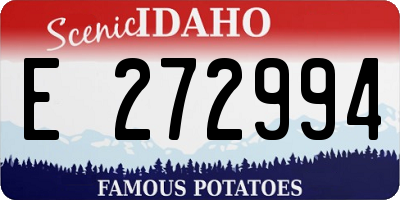 ID license plate E272994