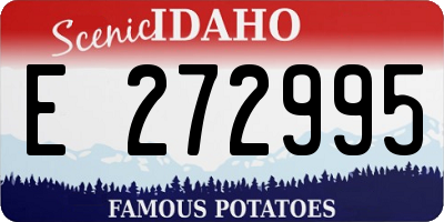 ID license plate E272995