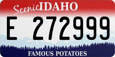 ID license plate E272999