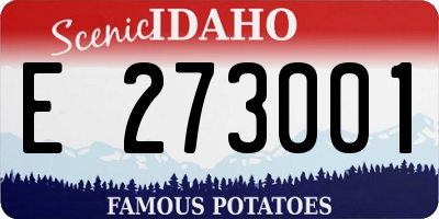 ID license plate E273001