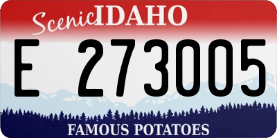 ID license plate E273005