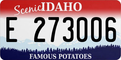 ID license plate E273006