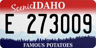 ID license plate E273009