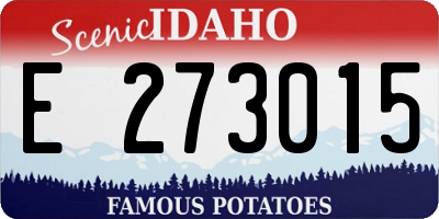ID license plate E273015