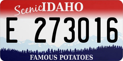 ID license plate E273016