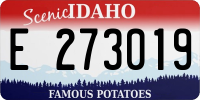 ID license plate E273019