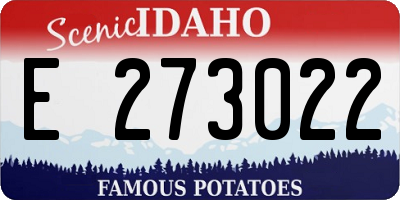 ID license plate E273022