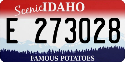 ID license plate E273028