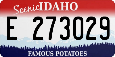 ID license plate E273029