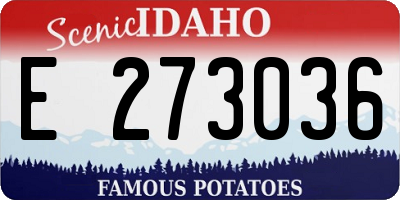 ID license plate E273036