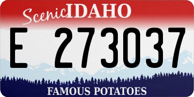 ID license plate E273037